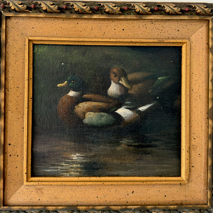 Refined Oil Painting Animals "Ducks In Water" Remarkable Small Art Holland Art Shop