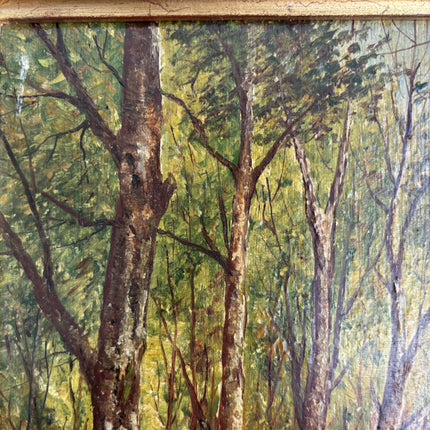 Refined Landscape Oil Painting "Birch Trunks" Detailed French  Art Holland Art Shop