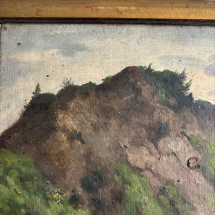 Detailed Landscape Oil Painting "Grassy Hill" Timeless Spanish Art Holland Art Shop