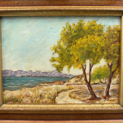 Authentic Seascape Oil Painting "Coastal Trees" Timeless Small Artwork Holland Art Shop