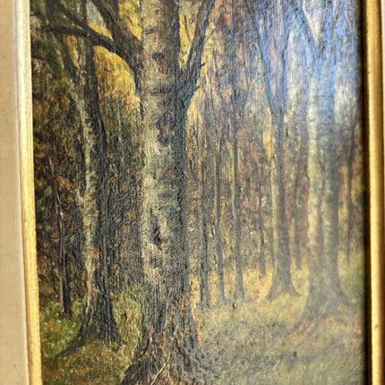 Antique Landscape Oil Painting "Birch Trees" Detailed Small Art Holland Art Shop