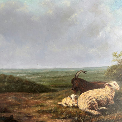 Rustic Animals Oil Painting "Grazing Sheep" Traditional Belgique Art Holland Art Shop