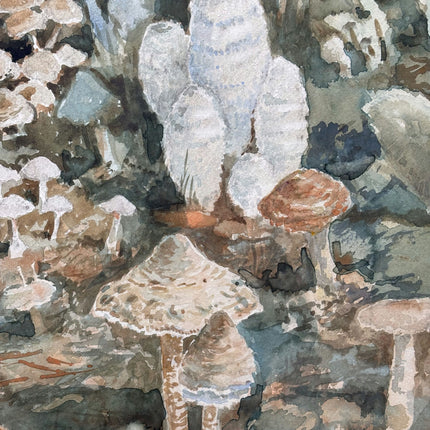 Traditional Landscape Oil Painting "Clustered Mushrooms" Handcrafted Art Holland Art Shop