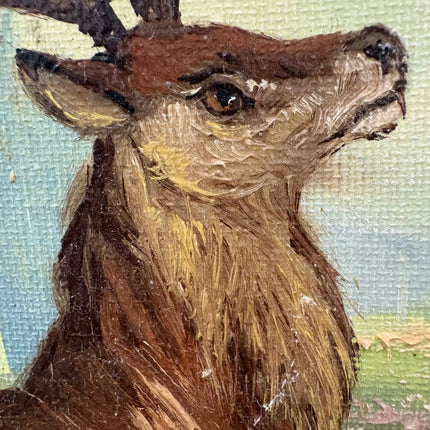 Original Animals Oil Painting "Stag Deer" Vintage Art Holland Art Shop