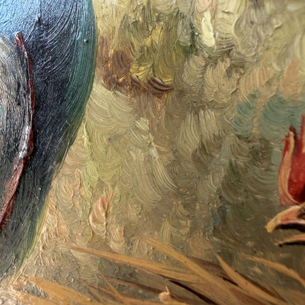 Timeless Animals Oil Painting "Peacock Bird" Expressive Art Holland Art Shop