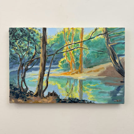 Expressive Scenery Oil Painting "Coastal Trees" Refined Art Holland Art Shop