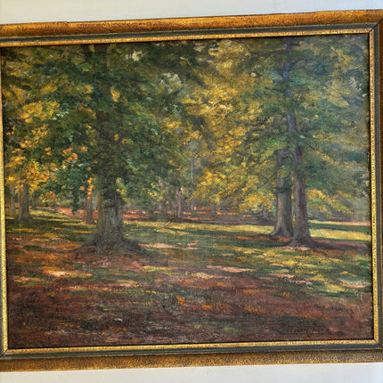 Timeless Landscape Oil Painting "Sunlit Trees" Rustic Artwork Holland Art Shop