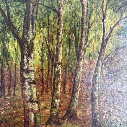 Refined Landscape Oil Painting "Birch Trunks" Detailed French  Art Holland Art Shop