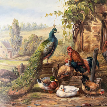 Timeless Animals Oil Painting "Peacock Bird" Expressive Art Holland Art Shop