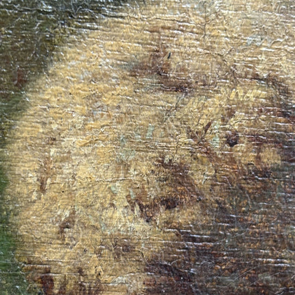 Edmond de Koninck 19th Century Animals Oil Painting " Grazing Sheep" Art Holland Art Shop