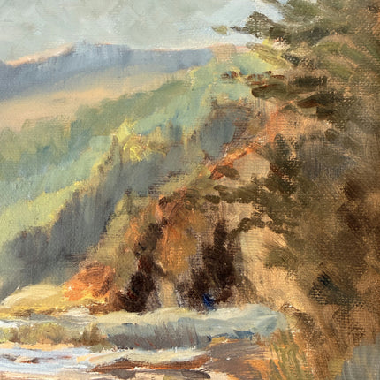 Wonderful Oil Painting Plein Air Landscape "Mountain River" Authentic Small Art