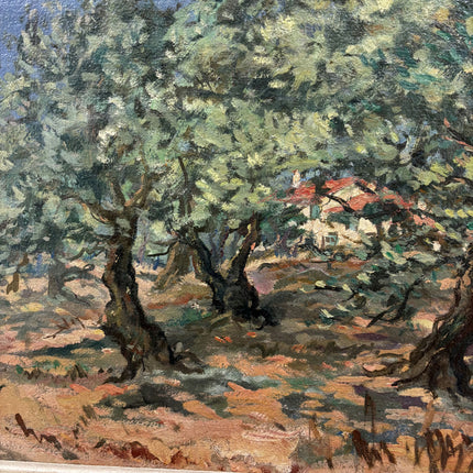 Traditional Landscape Oil Painting "Olive Trees" Detailed Artwork Holland Art Shop