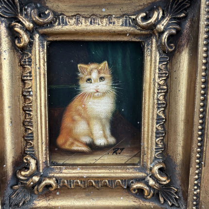 Detailed Animals Oil Painting "Framed Cat" Authentic Small Artwork Holland Art Shop