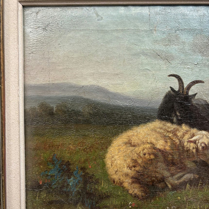 Edmond de Koninck 19th Century Animals Oil Painting " Grazing Sheep" Art Holland Art Shop