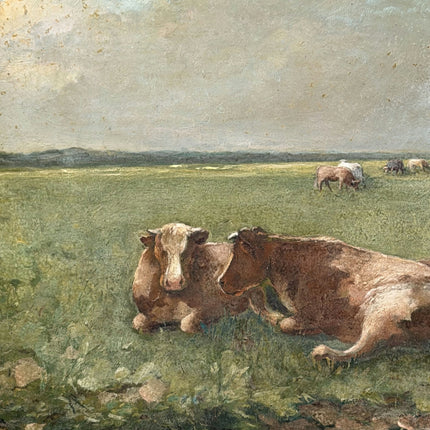 Original Animals Oil Painting "Grazing Cow" Expressive Large Art Holland Art Shop