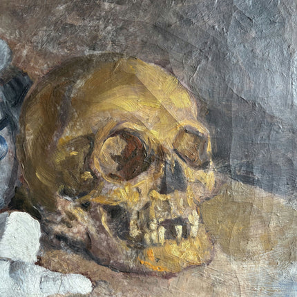 Elegant Still Life Oil Painting "Human Skull" Detailed Art Holland Art Shop