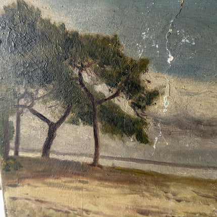 Vintage Landscape Oil Painting "Coastal Pines" Expressive Small Artwork Holland Art Shop