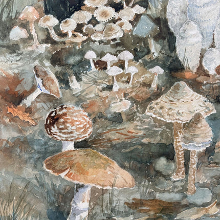 Traditional Landscape Oil Painting "Clustered Mushrooms" Handcrafted Art Holland Art Shop