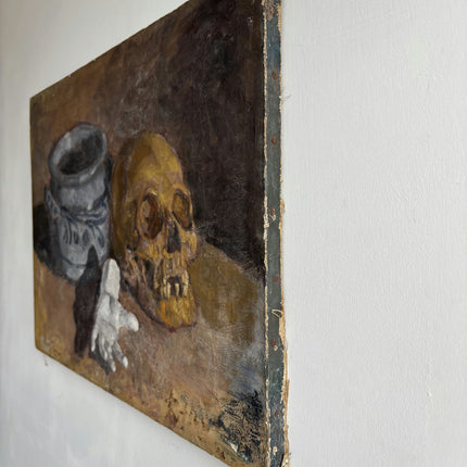 Elegant Still Life Oil Painting "Human Skull" Detailed Art Holland Art Shop
