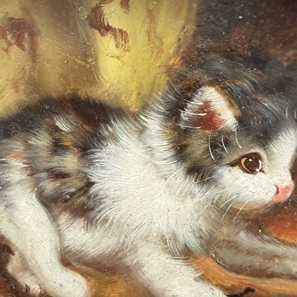 Refined Animals Oil Painting "Playful Kitten" Traditional Small Art Holland Art Shop