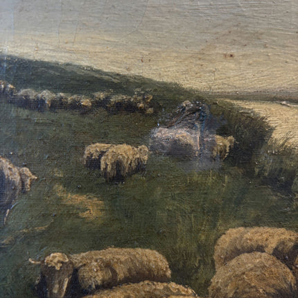 Wonderful Oil Painting Animals "Grazing Sheep" Intriguing Medium Art Holland Art Shop