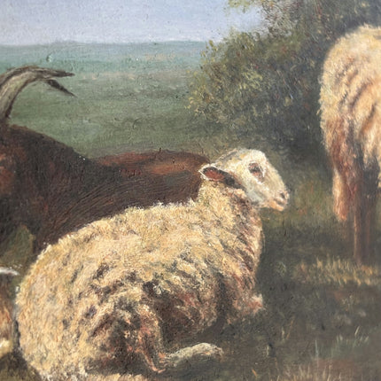 Rustic Animals Oil Painting "Grazing Sheep" Traditional Belgique Art Holland Art Shop