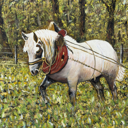 Expressive Animals Oil Painting "White Horse" Authentic Art Holland Art Shop