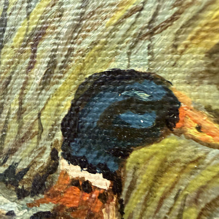 Classic Animals Oil Painting "Group Ducks" Detailed Small Art Holland Art Shop