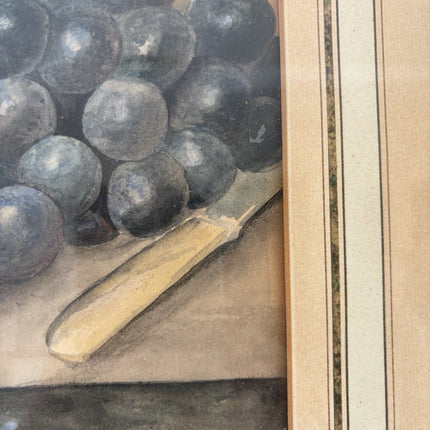 “FRUIT AND GRAPES” Vintage Hand - Painted Still Life Framed Art Drawing Art - HollandArtShop