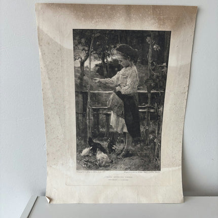 Intriguing Portrait Photogravures "Feeding Chickens" Remarkable Medium Artwork - HollandArtShop